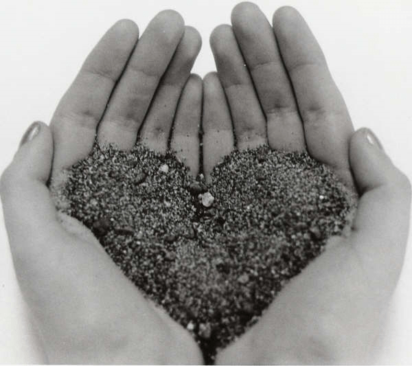 heart-in-my-hands